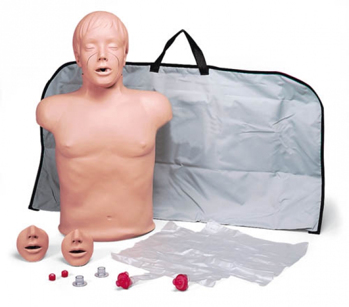 Купить Торс Фаллоимитатор