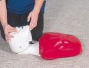 Basic Buddy CPR Puppe R10090 