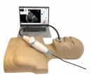 Simulator für transösophageale Echokardiographie, MrTEEmothy Standard