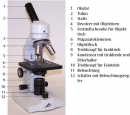 Monokulares Kursmikroskop Modell 100 LED 230 V 50 60 Hz 