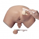 Prostatauntersuchungs Simulator
