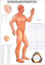Körperakupunktur I Lehrtafel 70x100 cm (TA10_1)